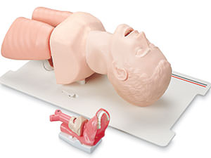 Airway Manikins