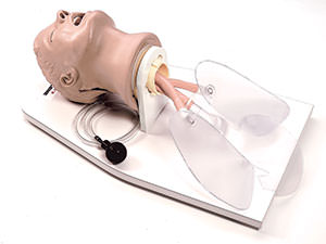 Life/form AIRWAY LARRY Trainer