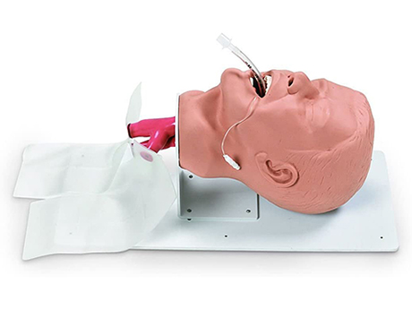 Economy Adult Airway Management Trainer