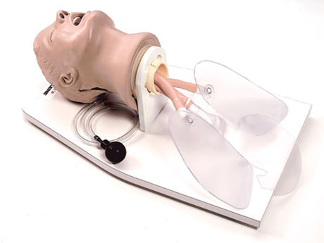 Life/form Airway Larry Trainer with Stand