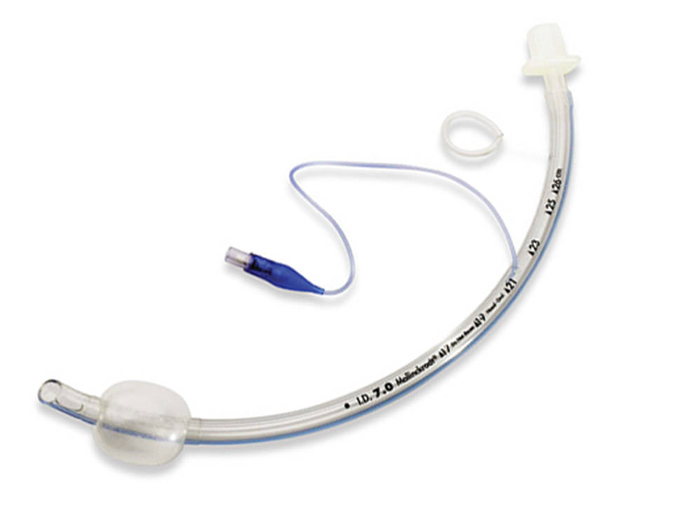 Endotracheal Tube Ett Too Low The Tip Of The Endotrac vrogue.co