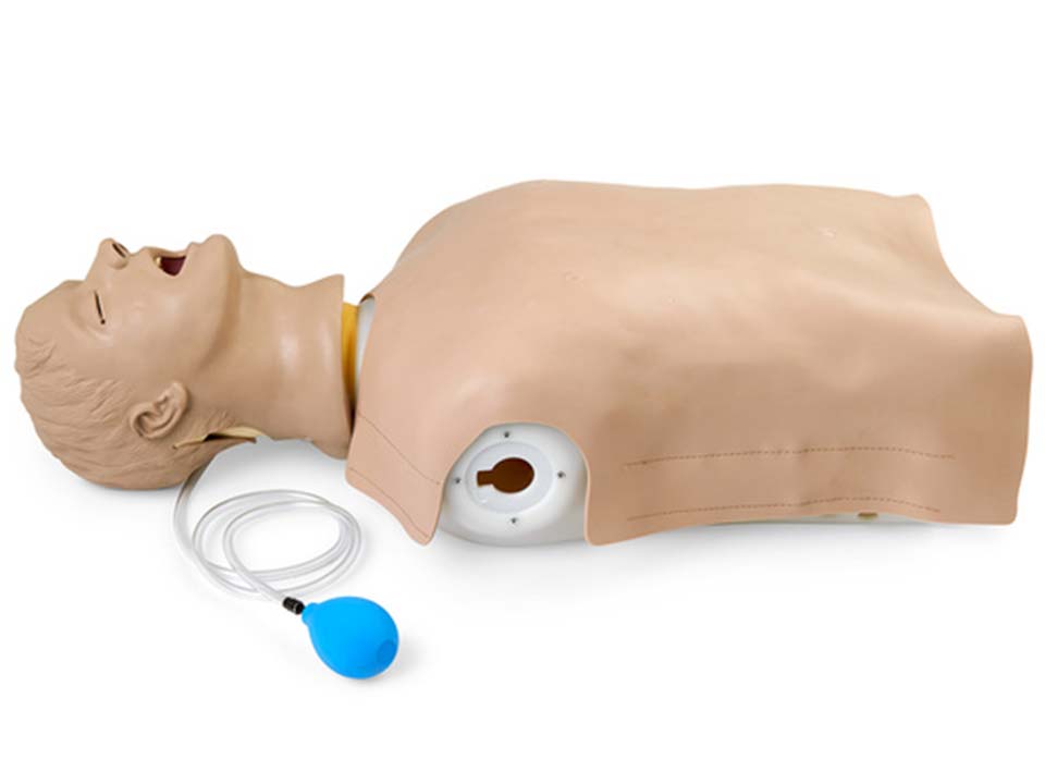 Life/form Airway Larry Airway Management Trainer Torso