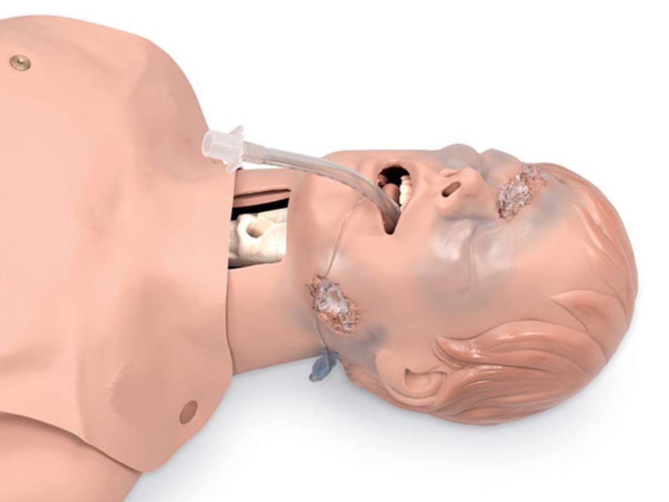 Simulaids Critical Airway Management Trainer