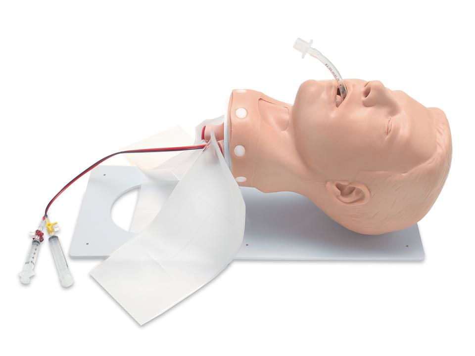 Simulaids Dlx Adult Airway Mgmt Head