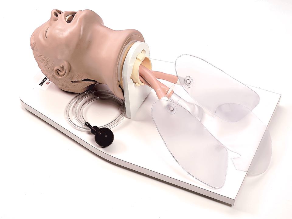 Life/form AIRWAY LARRY Trainer